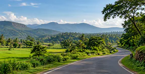 A road running through green fields